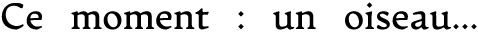 Ce moment : un oiseau…
